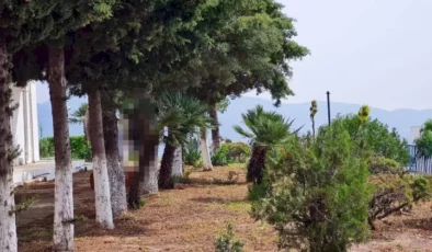 Milas’lı Bahçıvan Bodrum’da Ağaca Asılı Halde Ölü Bulundu