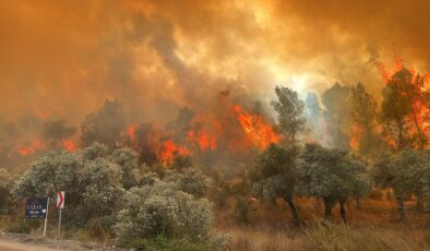 Milas’ın Boğaziçi Mahallesi’nde Çıkan Yangın Kontrol Altına Alınmaya Çalışılıyor