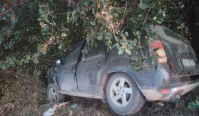 Milas-Söke Karayolunda Kaza: 1 Yaralı