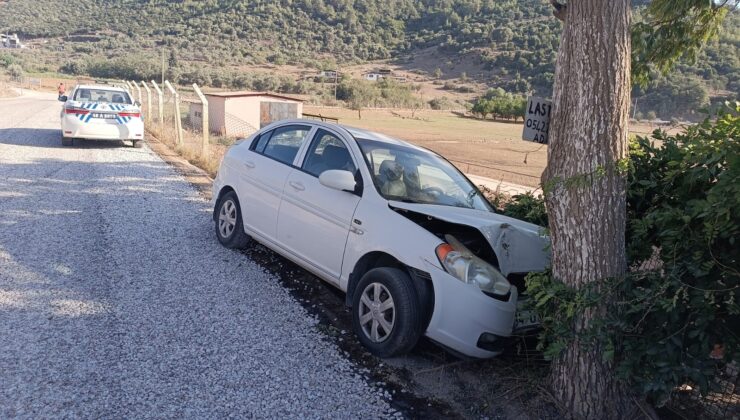 Milas’ta Direksiyon Hakimiyetini Kaybeden Sürücü Ağaca Çarptı: 2 Yaralı