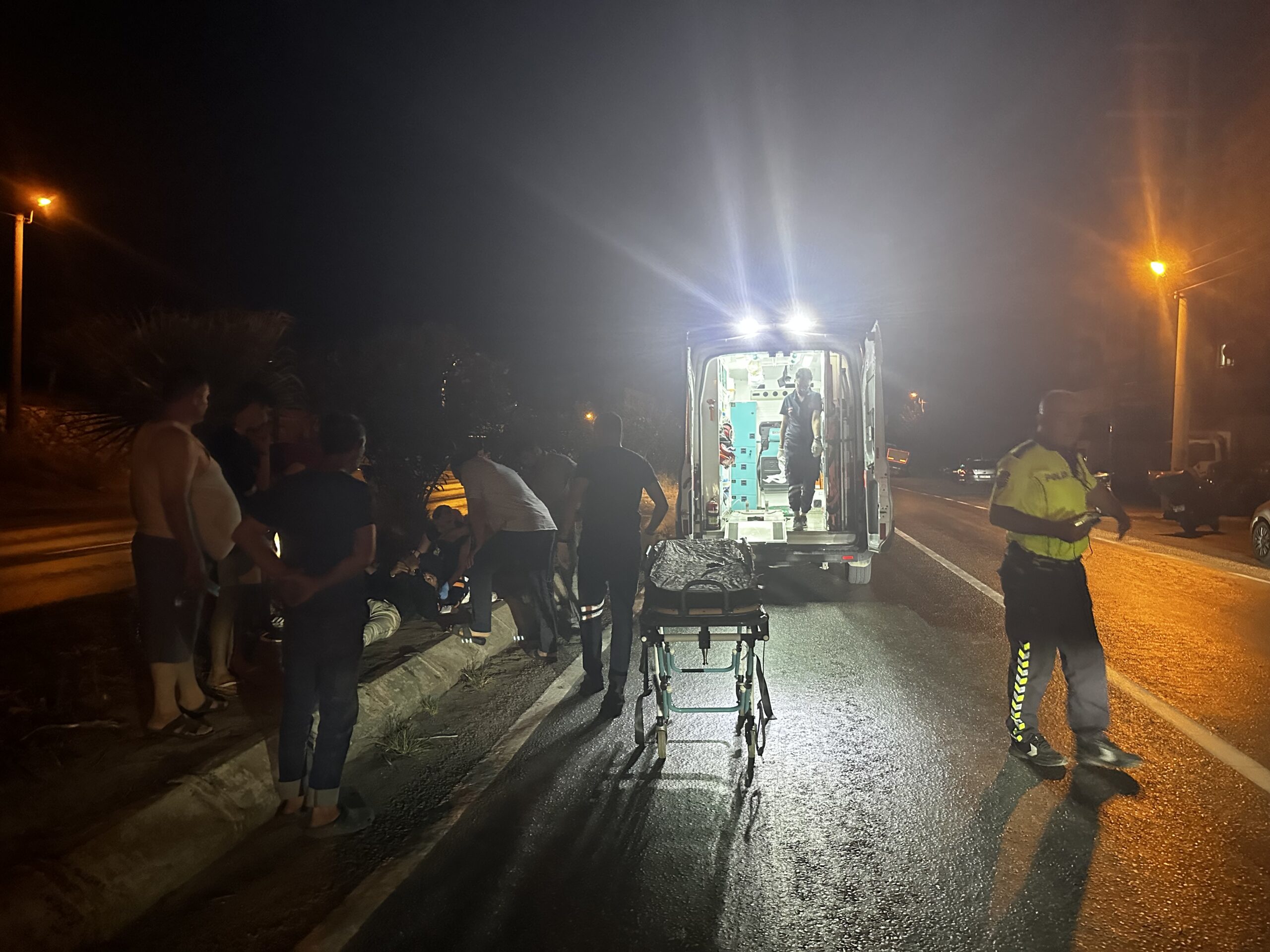 Milas’ta Köpeğe Çarpan Motosikletli Kurye Yaralandı