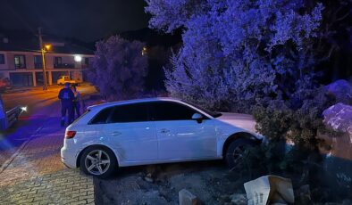 Milas’ta Kontrolden Çıkan Otomobil Ağaçlık Alana Daldı