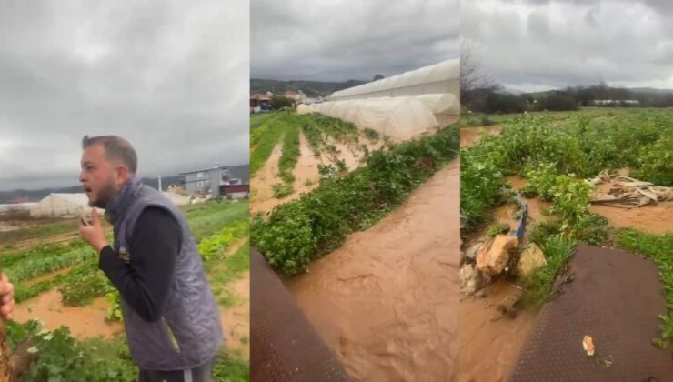 Milas’ta Aşırı Yağışlar Tarım Arazilerine Zarar Verdi