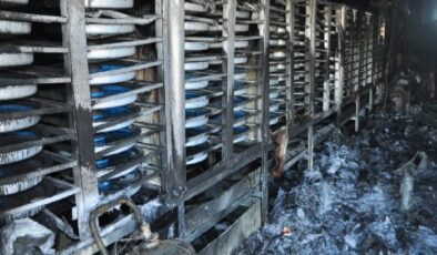 Milas’ta Yavru balık üretim tesisinde çıkan yangında, 39 milyon balık telef oldu