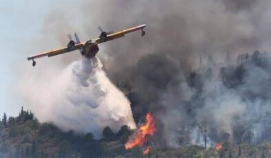 Meteoroloji Muğla’yı Orman Yangınlarına Karşı Uyardı