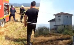 Milas’ta Elektrik Trafosundan Çıkan Yangın Tarlaya Sıçradı